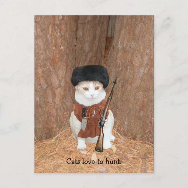 Carte Postale Les chats adorent chasser. (Devant)