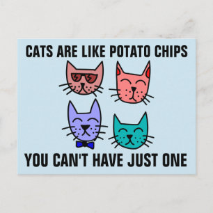 CARTE POSTALE LES CHATS SONT COMME DES CHAUSSURES DE POMME DE TE