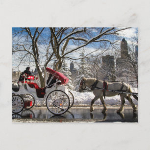 Carte Postale Les chevaux de transport d'hiver à Central Park