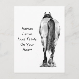 Carte Postale Les Chevaux Laissent Des Empreintes Hoofprint Sur 