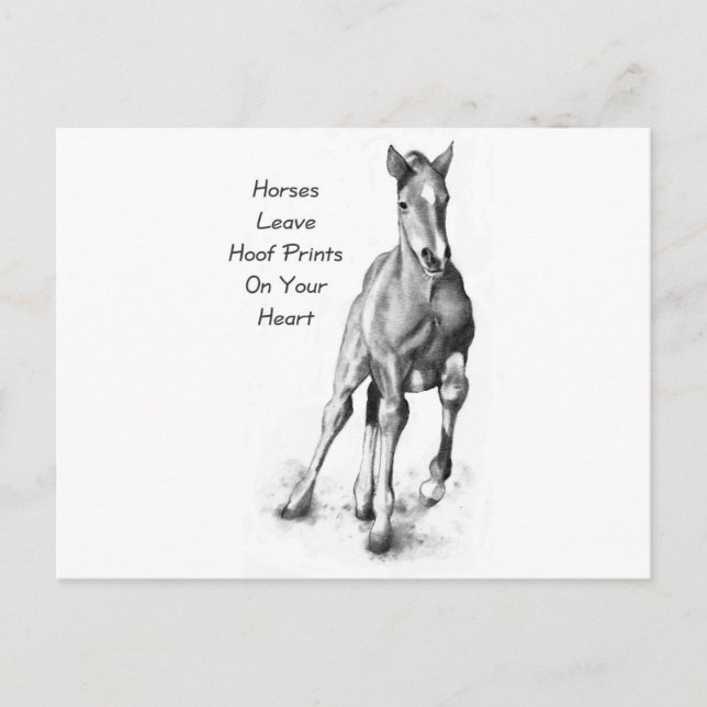 Carte Postale Les Chevaux Laissent Des Empreintes Hoofprint Sur  (Devant)