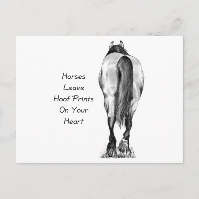 Carte Postale Les Chevaux Laissent Des Empreintes Hoofprint Sur  (Devant)