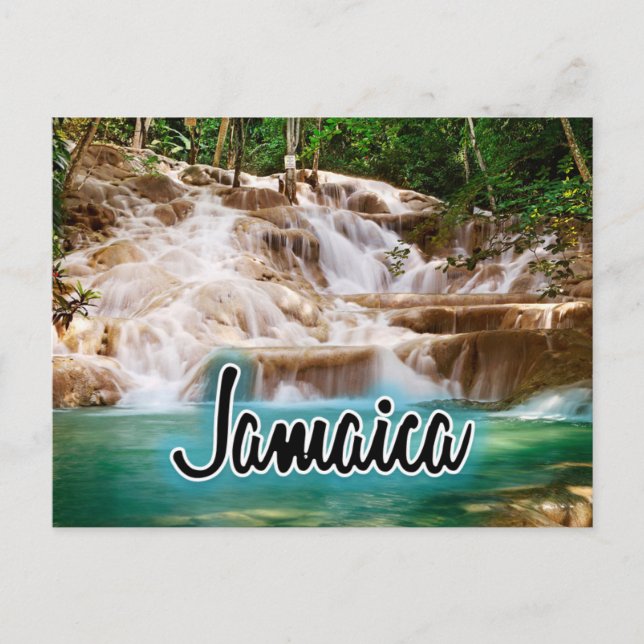 Carte Postale Les chutes de la rivière Jamaica Dunn (Devant)