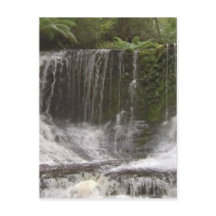 Les chutes d'Oasis en Tasmanie au sud de l'Austral