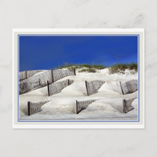 Carte Postale Les clôtures de sable