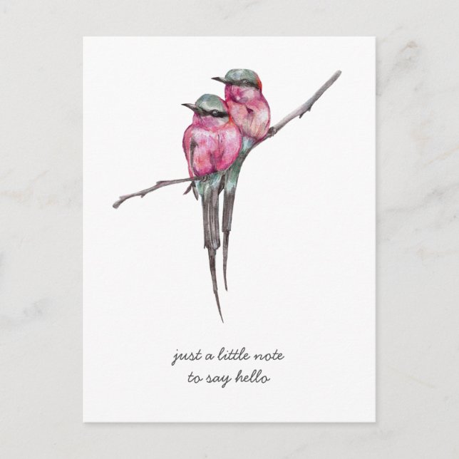 Carte Postale Les colibris à longue queue roses pensent à vous (Devant)