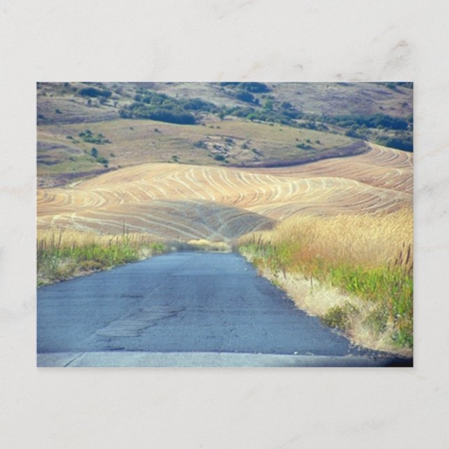 Carte Postale Les contreforts de Steptoe Butte (Devant)