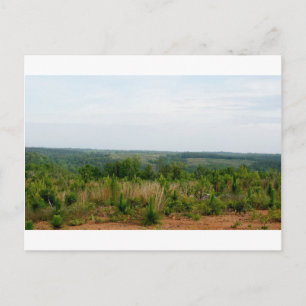 Carte Postale Les contreforts des Appalaches