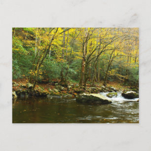 Carte Postale Les couleurs d'automne dans les montagnes Great Sm