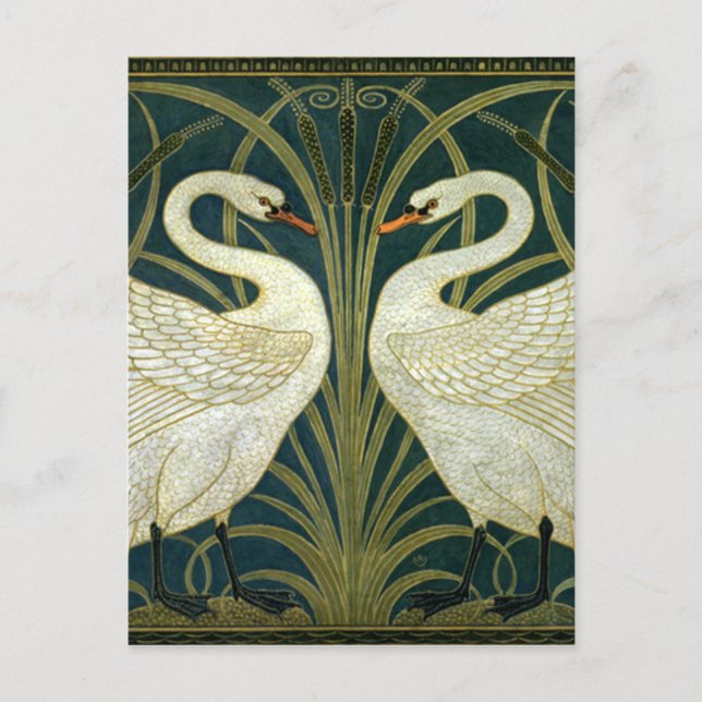 Carte Postale Les cygnes Art nouveau de la grue (Devant)
