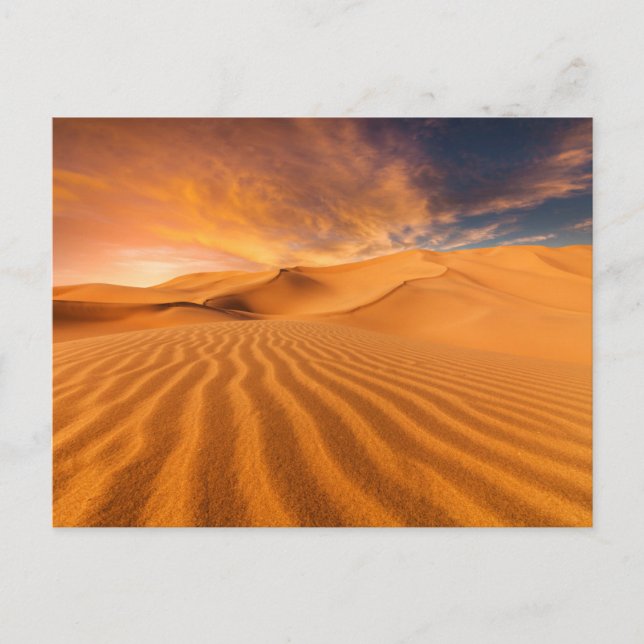 Carte Postale Les déserts | Désert aux Émirats arabes unis (Devant)