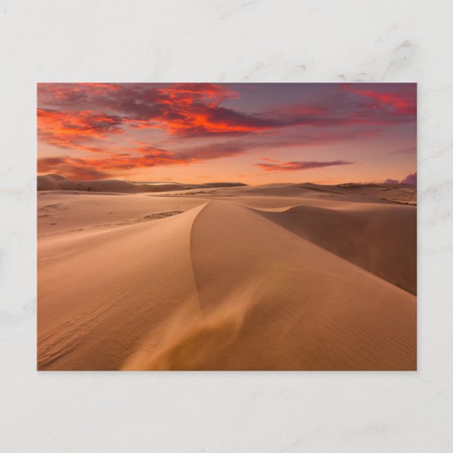 Carte Postale Les déserts | Emirats arabes unis désertiques (Devant)