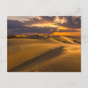 Carte Postale Les déserts Paysage des dunes de sable