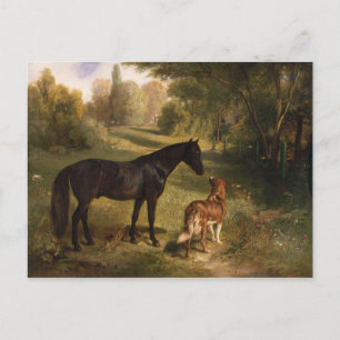 Carte Postale Les deux amis