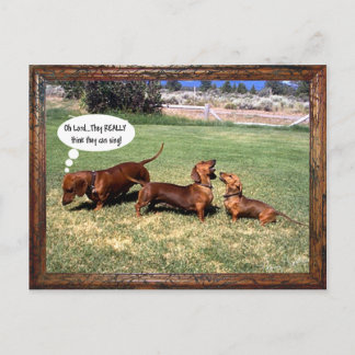 Carte Postale Les Doxies peuvent-elles chanter ? Peut-être pas..