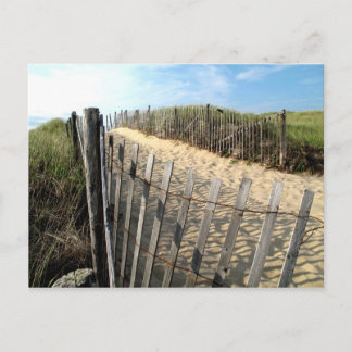 Carte Postale Les dunes de Cape Cod