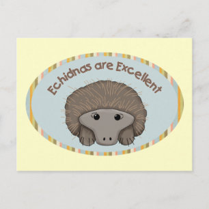 Carte Postale Les Echidnas sont excellents