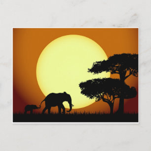 Carte Postale Les éléphants Safari au coucher du soleil