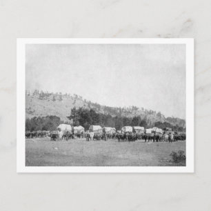 Carte Postale Les équipes d'ox et les Wagons dans une vallée des