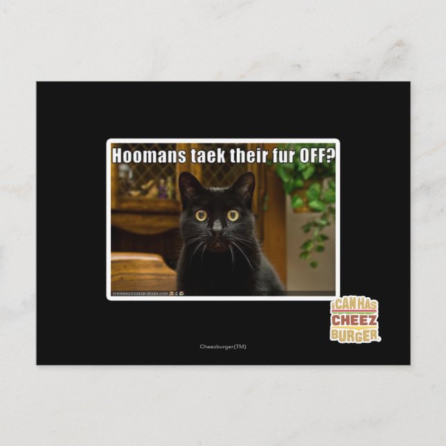 Carte Postale Les femmes de chambre s'en vont-elles ? (Devant)