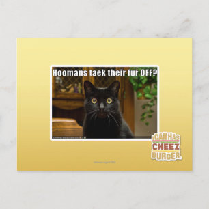 Carte Postale Les femmes de chambre s'en vont-elles ?