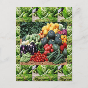Carte Postale Les fermiers marché veggie délecter les cuisiniers
