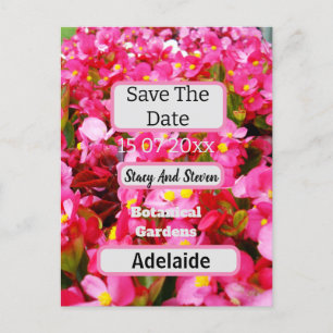 Carte Postale Les Fleurs De Begonia Rose Chaud Sauvent La Date,