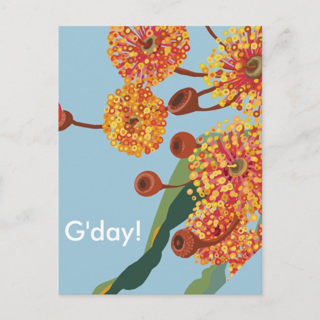 Carte Postale Les fleurs de gommiers australiens (Devant)