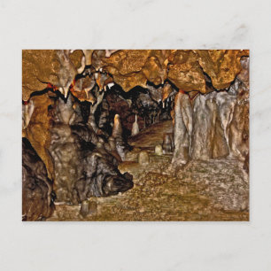 Carte Postale Les Grottes De Floride I.