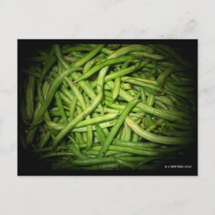 Carte Postale Les haricots verts sous les projecteurs