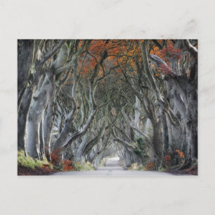 CARTE POSTALE LES HAUTEURS SOMBRES, BALLYMONEY, IRLANDE