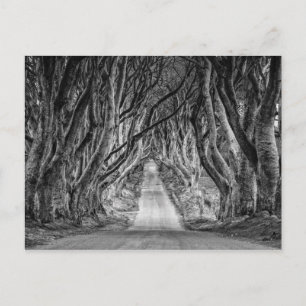 CARTE POSTALE LES HAUTEURS SOMBRES, CO. ANTRIM, IRLANDE DU NORD