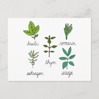 Carte Postale Les herbes