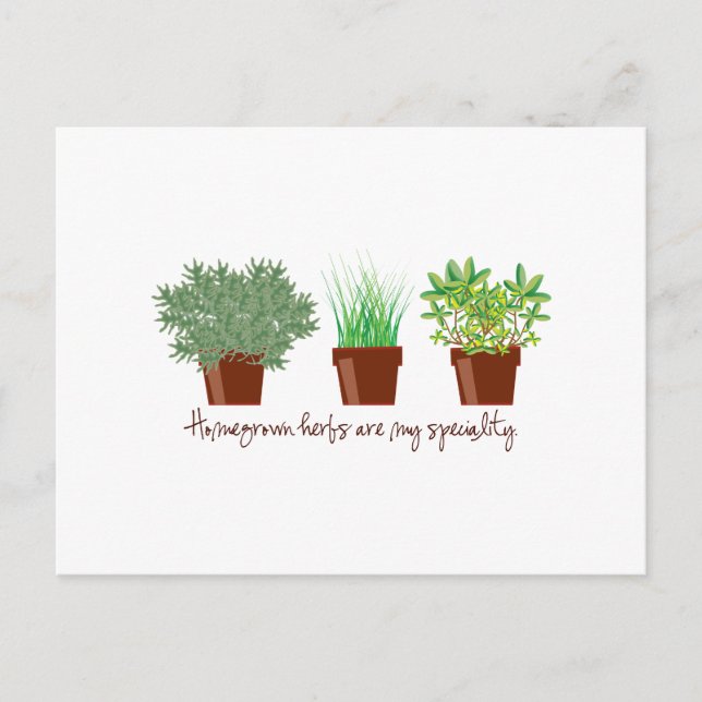 Carte Postale Les Herbes Maison Sont Ma Spécialité (Devant)