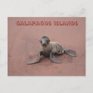 Carte Postale les îles galapagos