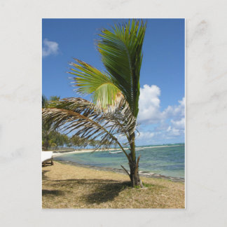 Carte Postale Les Îles Maurice