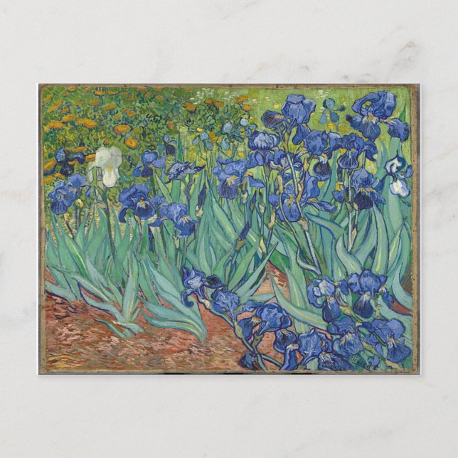 Carte Postale Les Iris Irises Vincent Van Gogh (Devant)