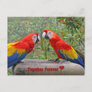 Carte Postale Les Joyeux Anniversaire de Love Birds