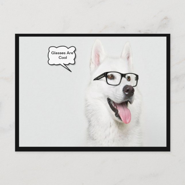 Carte Postale Les lunettes sont des chiens Cool (Devant)