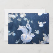 Carte Postale Les méduses dans l'océan