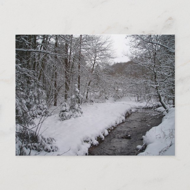 Carte Postale Les merveilles hivernales (Devant)
