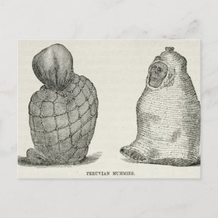 Carte Postale Les momies péruviennes