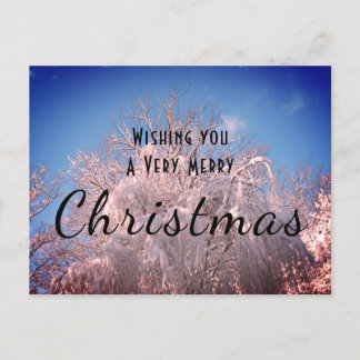 Carte Postale Les Neiges de Noël !