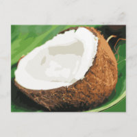 Les noix de coco hawaïennes fraîches