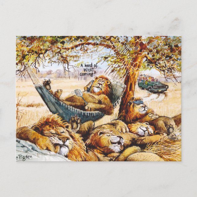 Carte Postale Les nouvelles voyagent rapidement (Devant)