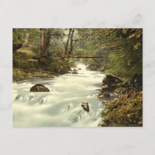 Carte Postale Les oiseaux d'Aberfeldy, Perth et Kinross, Écosse