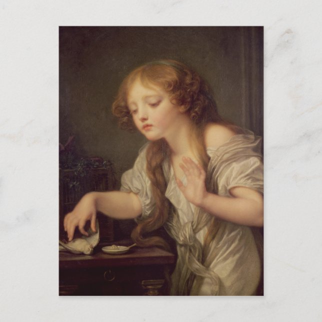 Carte Postale Les oiseaux morts (Devant)