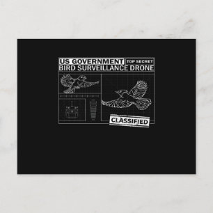 Carte Postale Les oiseaux ne sont pas réels - Drôle observation 