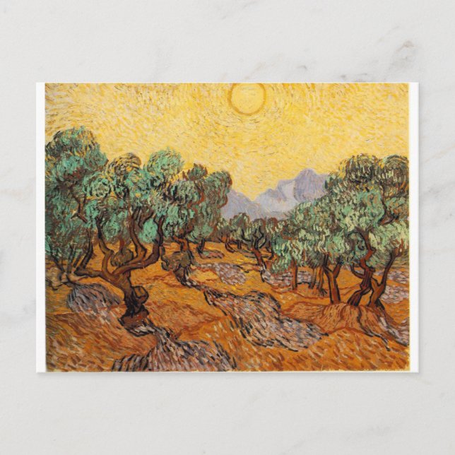 Carte Postale Les oliviers de Vincent Van Gogh (Devant)