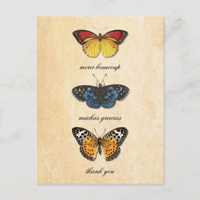 Carte postale Les Papillons Merci (Devant)